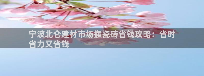 杏鑫官方平台怎么样啊安全吗