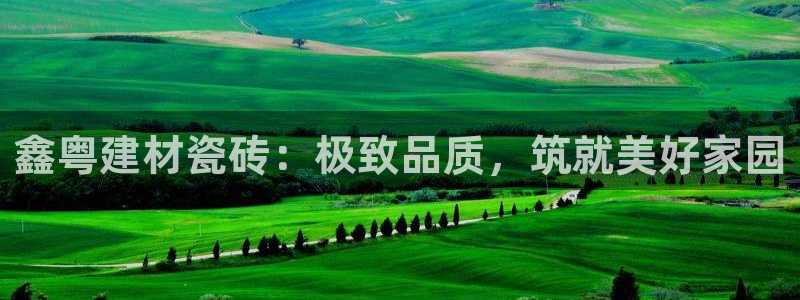 杏鑫娱乐负责人