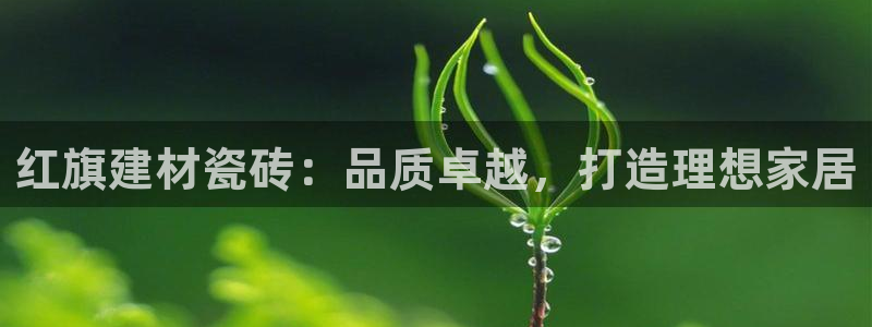 杏鑫平台注册入口在哪