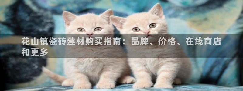 杏鑫官方平台怎么样啊