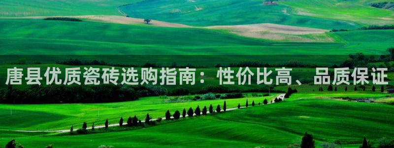 杏鑫有亏损返点吗