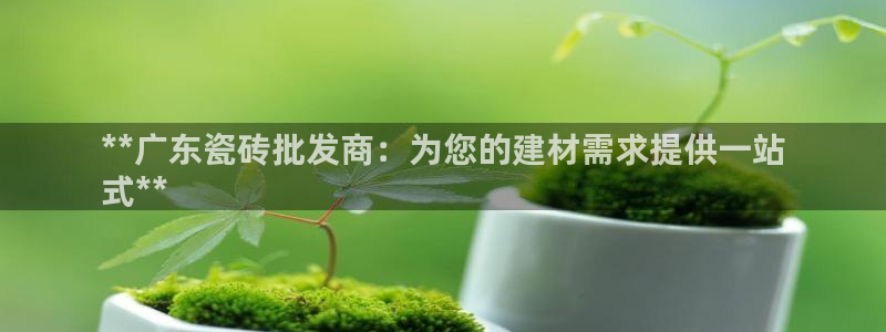 杏鑫平台登录地址是什么