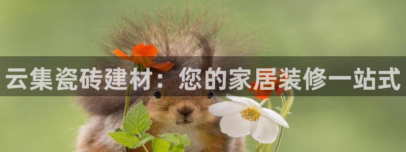 杏鑫平台代理怎么样赚钱