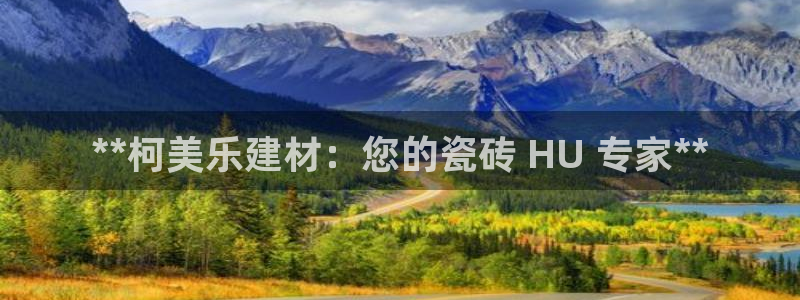 杏鑫平台代理注册