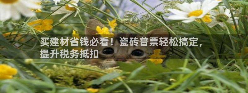 杏鑫平台注册地址在哪里