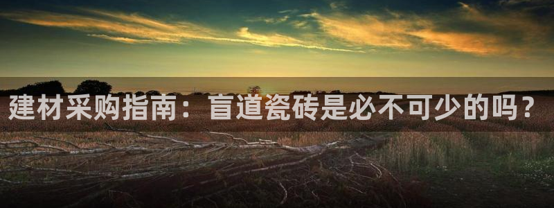 杏鑫官网最新信息