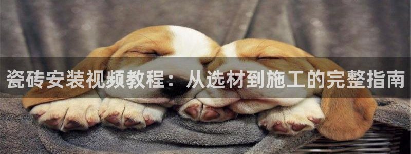 杏鑫官方平台怎么样可靠吗