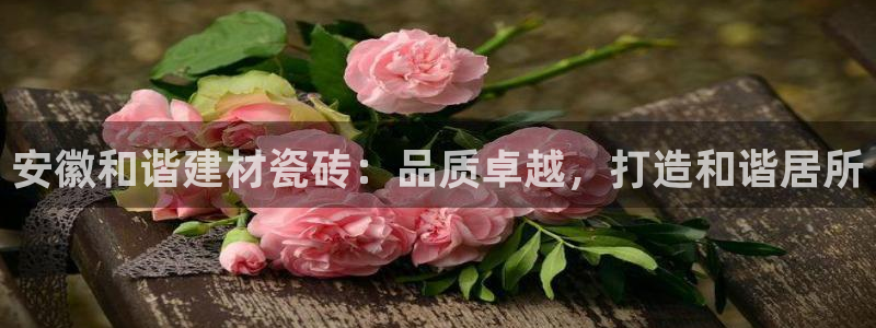 杏鑫娱乐官方网站客户端登录