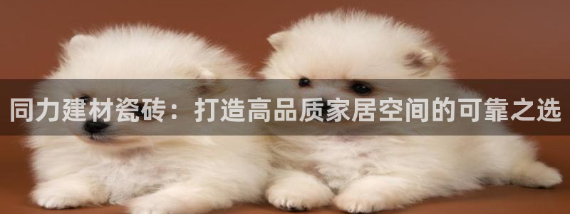 杏鑫官网