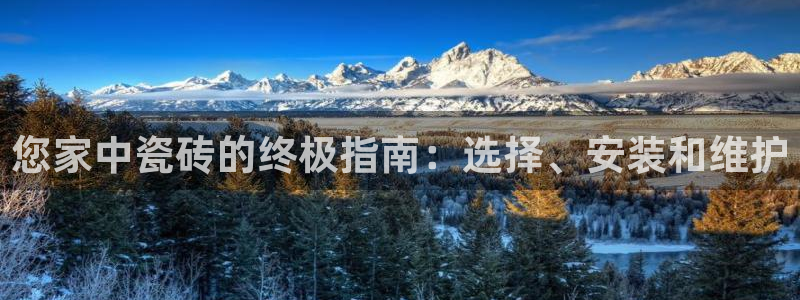 杏鑫平台登录地址