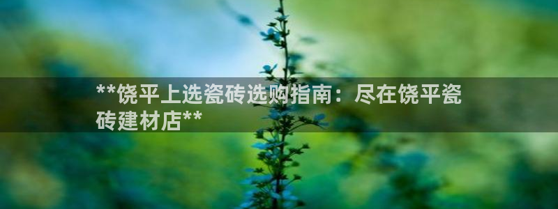 杏鑫平台登录注册