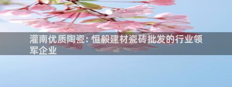 杏鑫主管