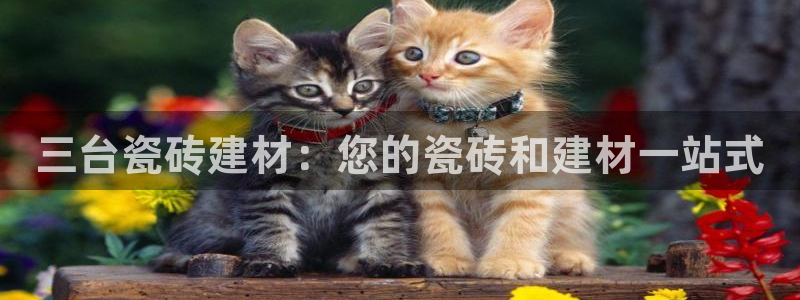 杏鑫注册登录