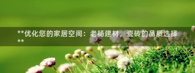 杏鑫娱乐平台