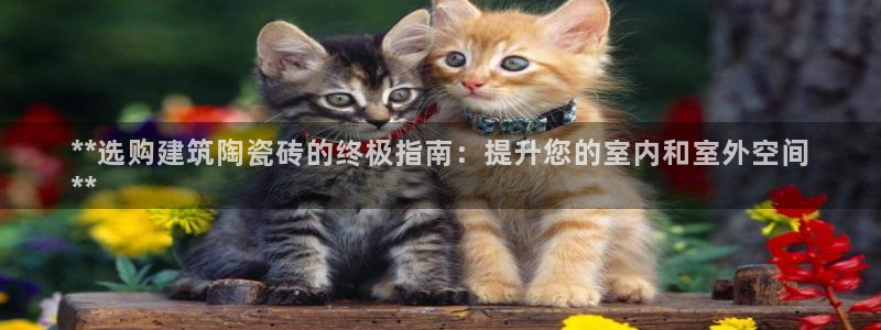 杏鑫注册平台官方网站