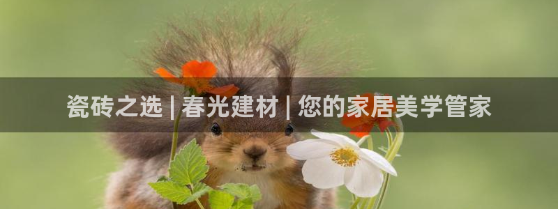 杏鑫代理注册登录