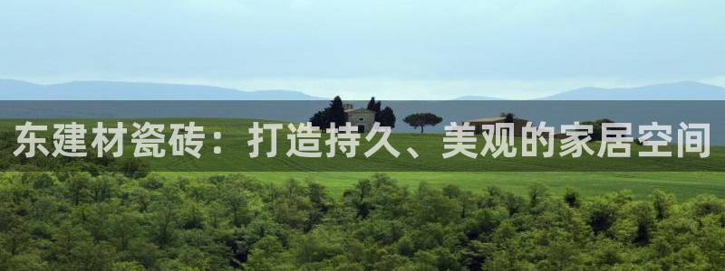 杏鑫3主管