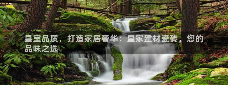 杏鑫平台登录地址在哪