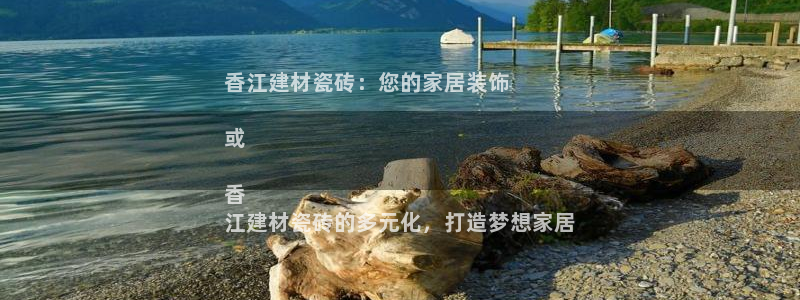 杏鑫娱乐开发团队