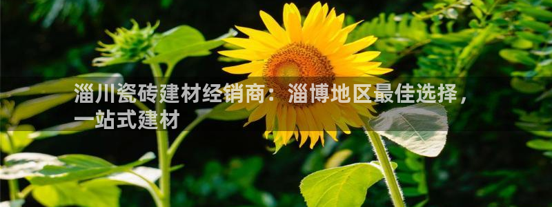 杏鑫娱乐官方网站客户端
