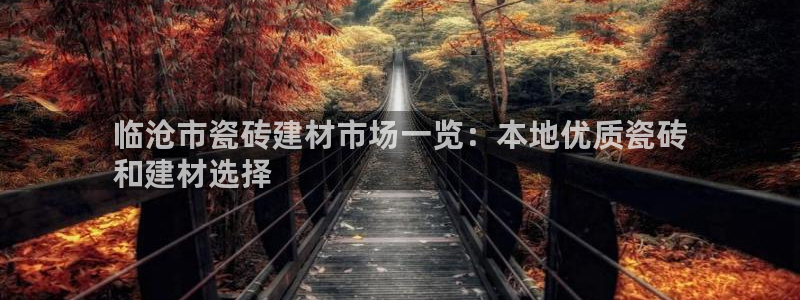 杏鑫平台代理注册
