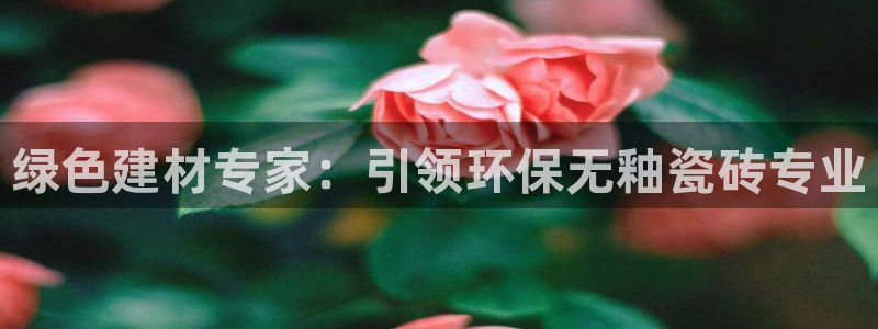 杏鑫平台招商怎么样