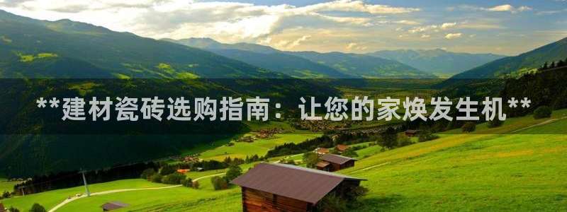 杏鑫平台登录注册
