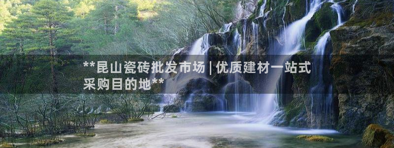 杏鑫3主管
