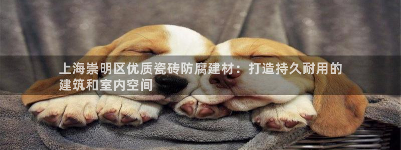 杏鑫平台是黑平台吗是真的吗