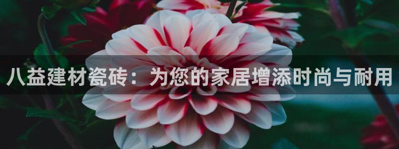 杏鑫平台正规吗是真的吗