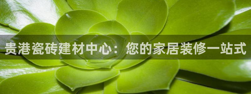 杏鑫平台怎么样黑钱吗知乎推荐