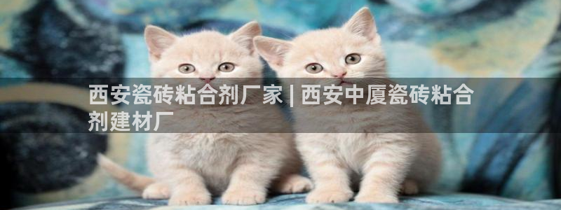 杏鑫平台正规吗是真的吗
