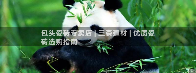 杏鑫代理注册资金多少