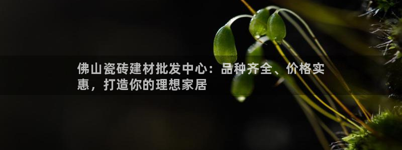 杏鑫注册登录代理