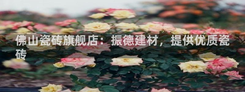 杏鑫官网最新信息