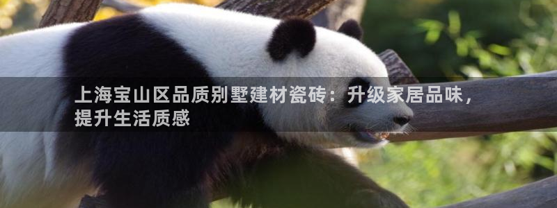 杏鑫平台测速