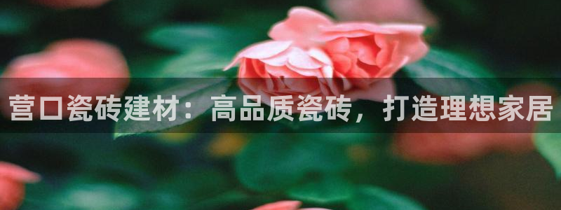 杏鑫登录注册测速