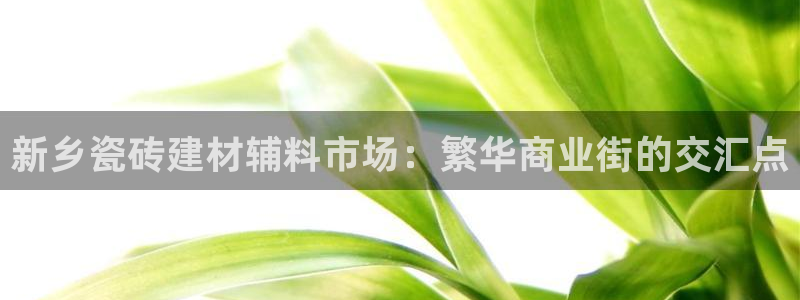 杏鑫平台测速怎么样