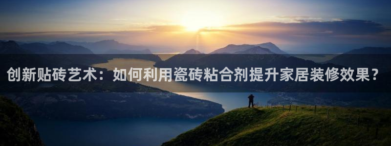 杏鑫招商总代