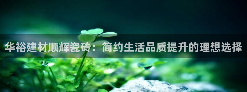 杏鑫娱乐负责人