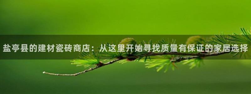 杏鑫平台代理注册流程及费用