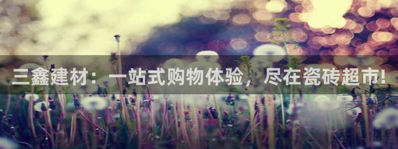 杏鑫官网注册账号怎么注册的