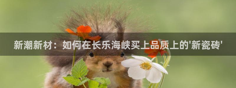 杏鑫平台怎么样黑钱吗安全吗是真的吗
