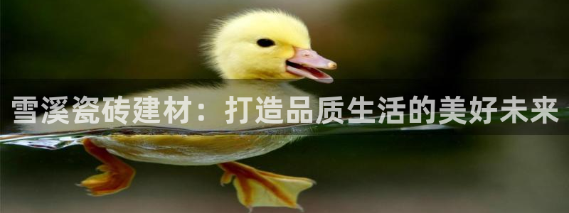 杏鑫注册平台官方网站是什么