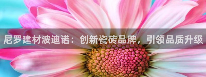 杏鑫平台正规吗是真的吗