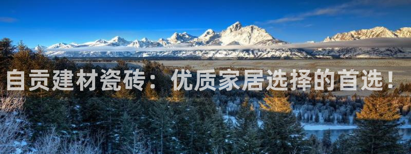 杏鑫平台注册网址查询