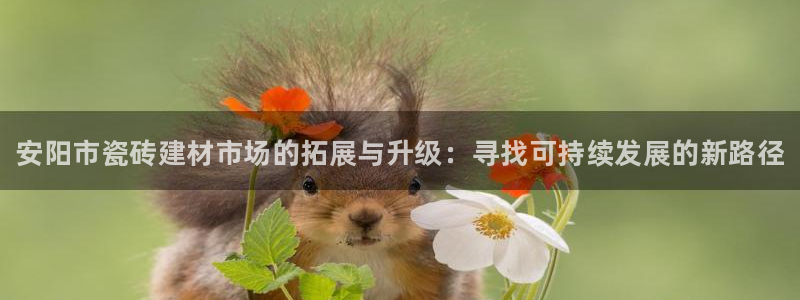 杏鑫娱乐平台测速怎么样