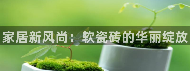 杏鑫平台注册登录