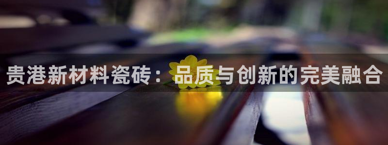 杏鑫平台登录地址查询