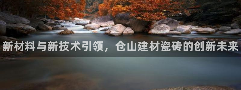 杏鑫代理注册资金多少